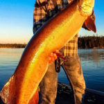 Ben Beattie Outdoors - Lac Seul - MuskyChasers Showcase