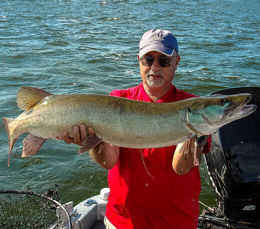 The Challenge of Musky Fishing - Musky Catch 2 - MuskyChasers.com