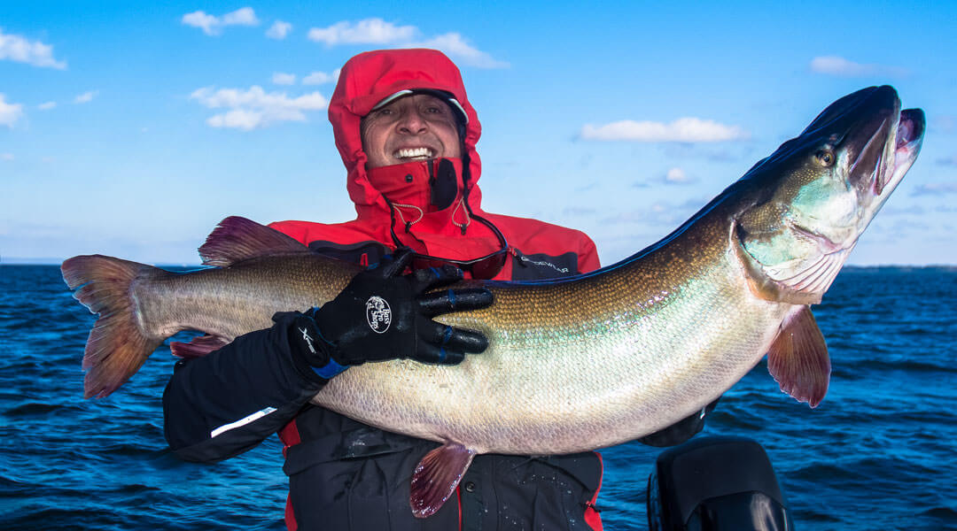 Trophy Musky Time - Peter's 41lb Musky - MuskyChasers.com