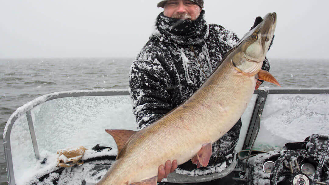 Are Musky Chasers Really Crazy?