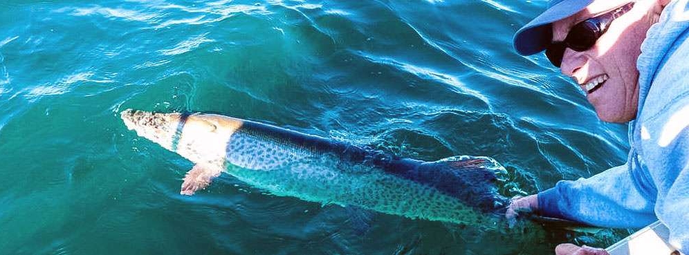 fishingfanatic